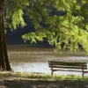 Knowing Jesus, Growing in Grace
