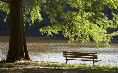 Knowing Jesus, Growing in Grace